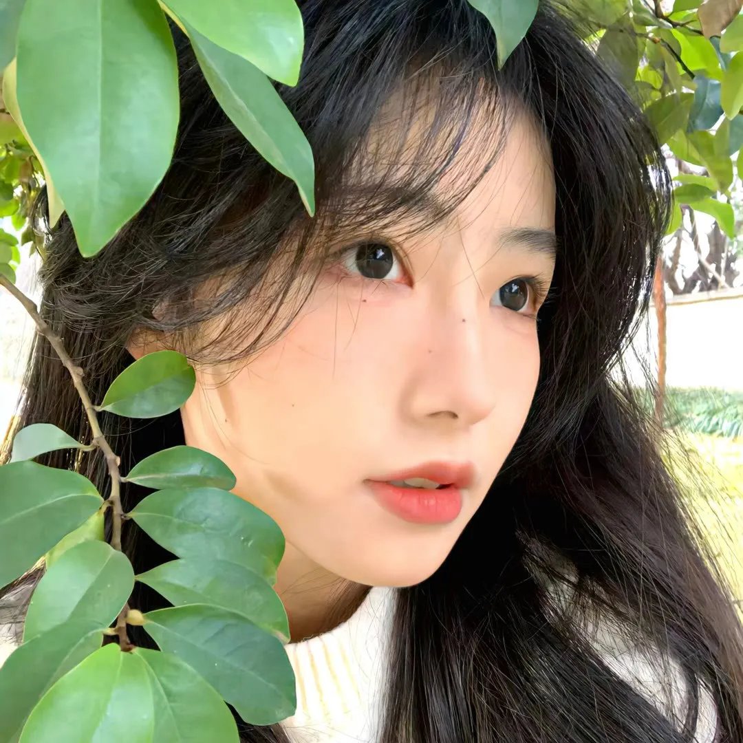 你是我目光里的星